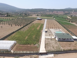 Muğla Milas`ta Satılık, Taşınmaya Hazır Tam Donanımlı Çiftlik